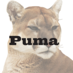 Puma Biotechnology